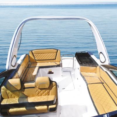 Lancha Focker 305 GT + Motor Mercruiser a Gasolina